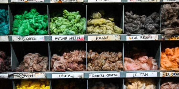 Tweed’s youthful makeover resurrects symbol of Scottish heritage